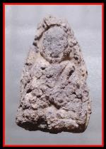 หลวงปู่ทวดปี 2506  วัดทรายขาว(208)