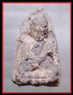 หลวงปู่ทวดปี06 วัดทรายขาว(393)